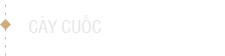 Vip 10