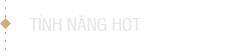 Đua top